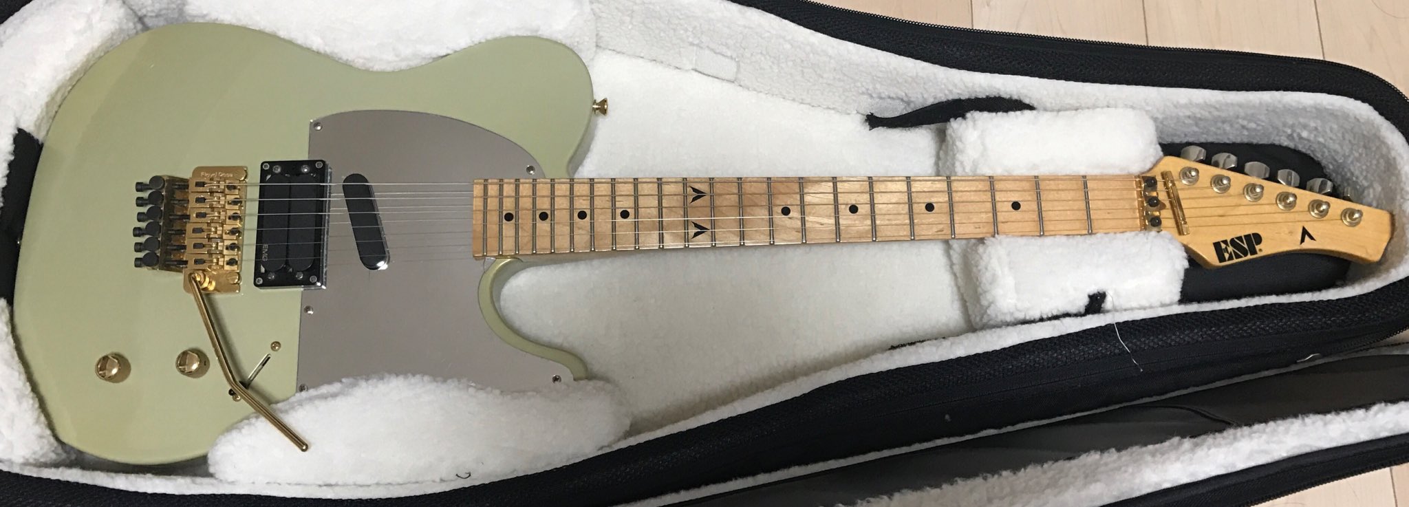 ジャンク ESP THE ALFEE 高見沢俊彦 TC-195 TC-230 Telecaster