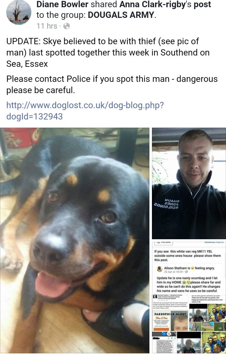 MissingPetsGB's tweet photo. 🆘🆘🆘  Please share widely image of man believed to have stolen SKYE.
Spotted together this week in
 #SouthendOnSea #Essex

DO NOT APPROACH - DANGEROUS MAN

JUST CALL POLICE if you see him and/or Skye 

🙏 Skye hold on &amp; hang in there, they will find you. 🙏🙏🙏 https://t.co/6jx7VUuQTY