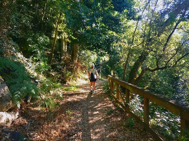@DisfrutadelavidaByBelshia : Disfruta de la naturaleza! 🌳🌲🍃#B #naturaleza #nature #fotografia #photography #picture #landscape #viajar #travelling #ourense #spain #españa #tourism #turismo 
Fotografía by <a href="/osquinhar/">osquinhar</a> Modelo <a href="/belshia/">Belshia</a>