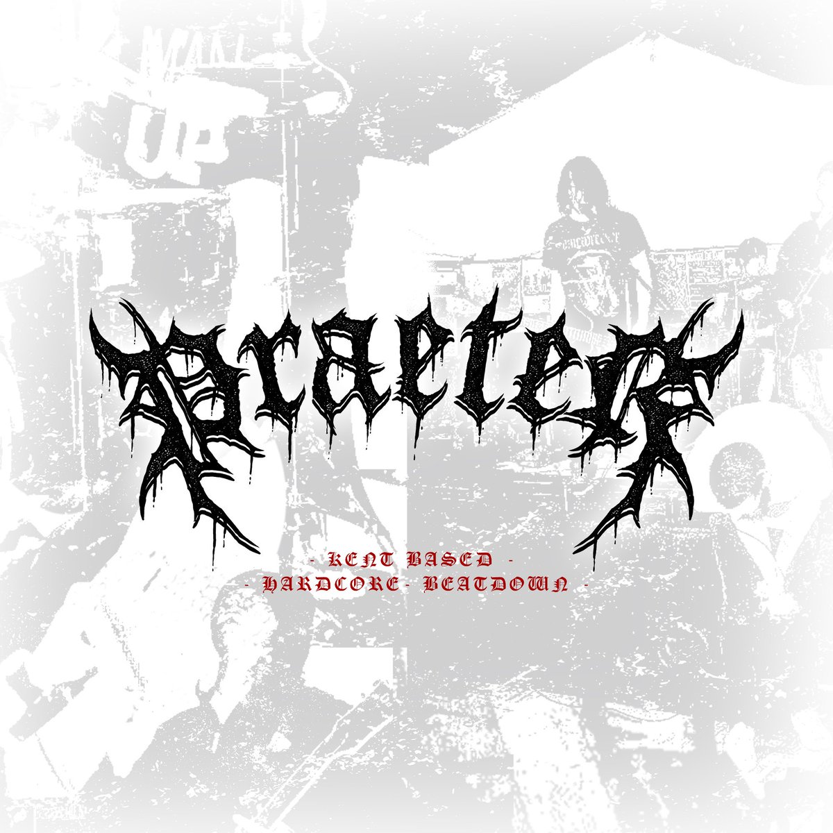 PraeterUk's tweet image. Check out our new look!!