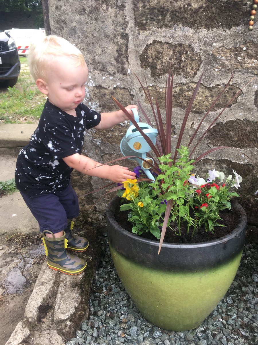 motherinfarm's tweet photo. Today has been a home day! This morning I’ve been cleaning the stairs, landing and bathroom. Followed by gardening with my boys this afternoon.
#flowers #gardener #homedY #busybusybusy #cleaning
Check out my latest posts at https://t.co/VyyAxgRa55 https://t.co/7RQZ6VLE5g