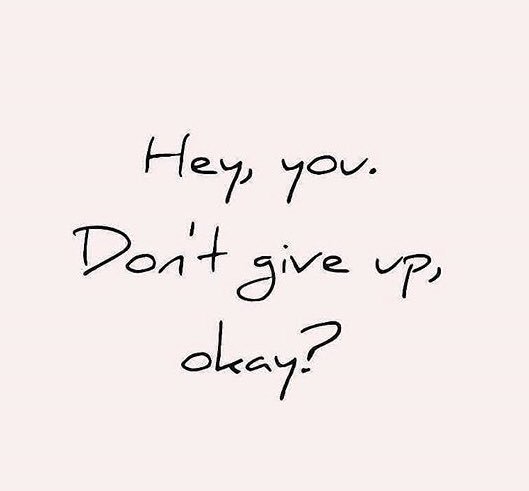 Bee_Happy_Today's tweet photo. https://t.co/blKZ065zDb