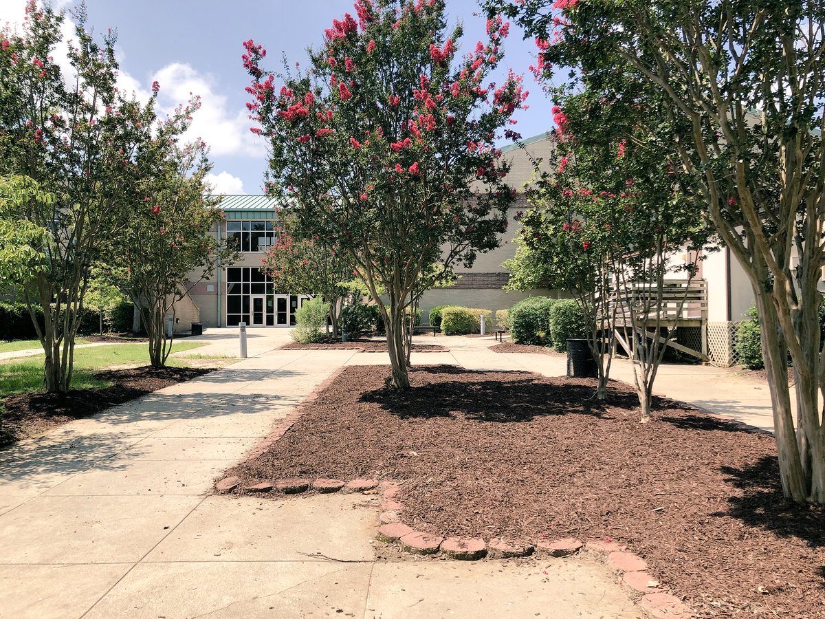 3 giants loads of mulch, weeding, trimming, sweating, & connecting. HUGE thx to the @DDMSBuzz community, @DDMSPTA, @_trinitypark church members, & the HIMs of @F3Carpex for their dedication this morning in our campus beautification project. #DriveFwd #proudprincipal