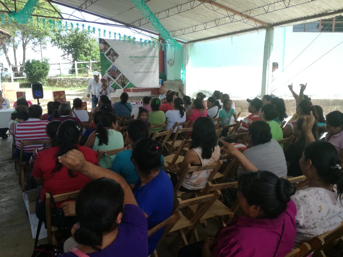 Marcelachiapas's tweet photo. #SagarpaChiapas #ElCampoEnNuestrasManos trabajando con dedicación, estamos entregando hoy Paquetes Productivos de Autoconsumo, gestionados por la Organización #UnmaChiapas para Mujeres comprometidas con el Campo, de la localidad Piedra Parada, municipio de Ocozocoautla. https://t.co/fguaOTZqDL