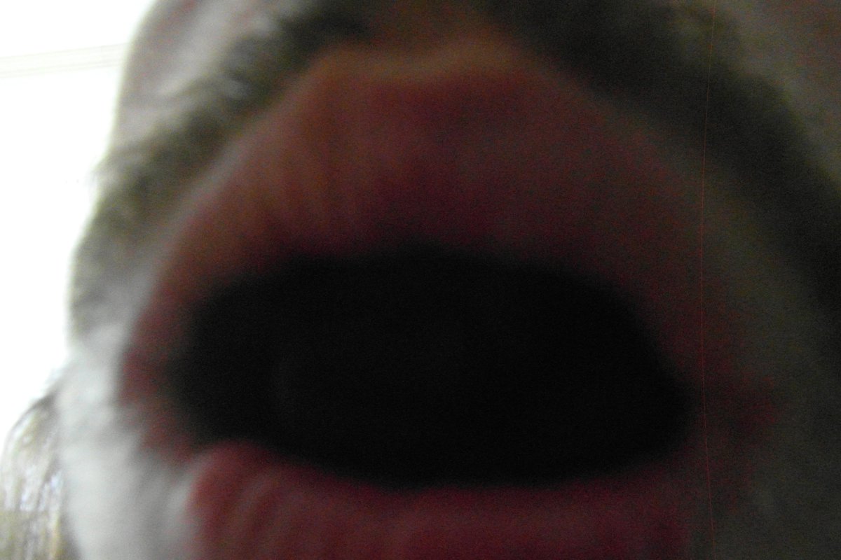 slavebwoy's tweet photo. @LDBMistress your superused Goddess socks feels great, i can have their taste in my mouth all the day! please destroy me #perfectgoddess #GoddessIsabelismyreligion #slaveforever https://t.co/HCbGnfzkCS