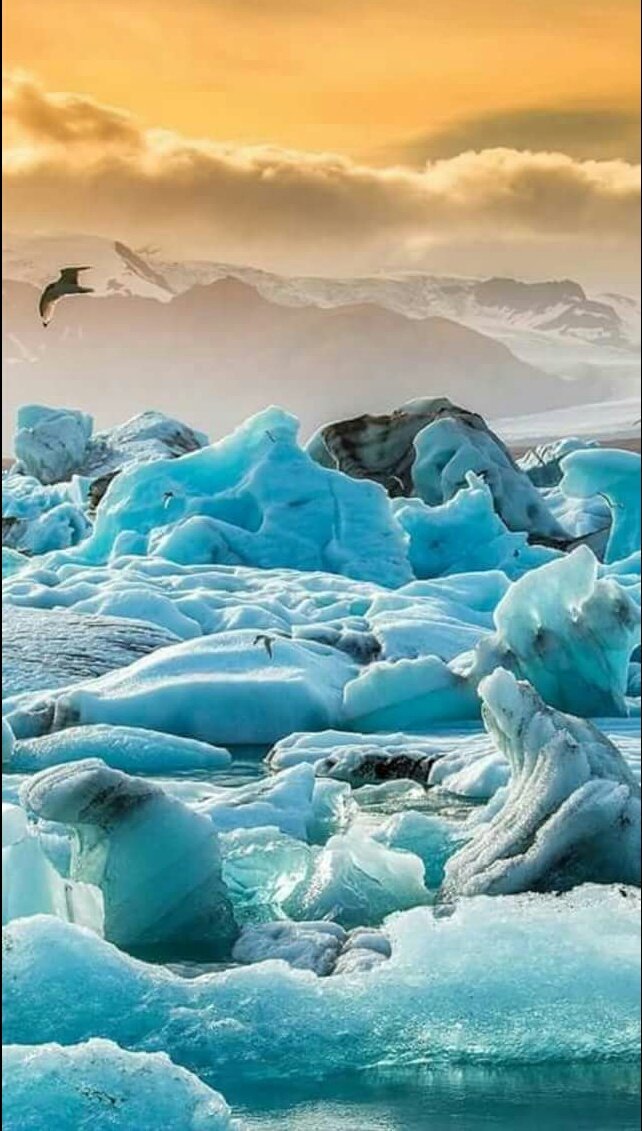 снег в океане. голубой лед. северный ледовитый океан лед море. ледовитый океан. вода со льдом.