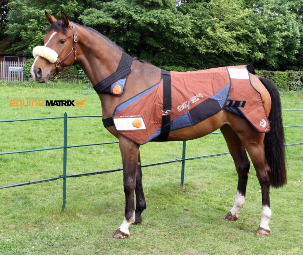 Great to see so many top class horses here today performing their best after receiving BEMER therapy supplied by us. 

The horses look happy and relaxed wearing this amazing invention 😌

<a href="/TopsIntArena/">Tops International Arena</a> 
#globalchampionstour #valkenswaard #horse #showjumping #equestrian