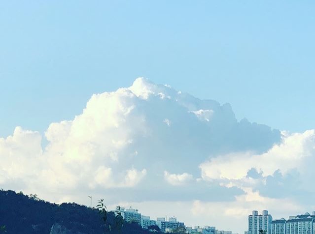 WandH_17's tweet photo. [INSTAGRAM] chwenotchew 

18.08.11
🎣

#SEVENTEEN #세븐틴
#VERNON #버논 https://t.co/txg6DTlSMG
