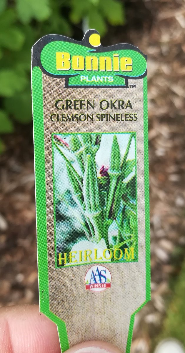 timstephens's tweet image. Touring @TAMUgardens today. @12thMan, looks like @agrilife is preparing for September 8th. #bthoClemson.