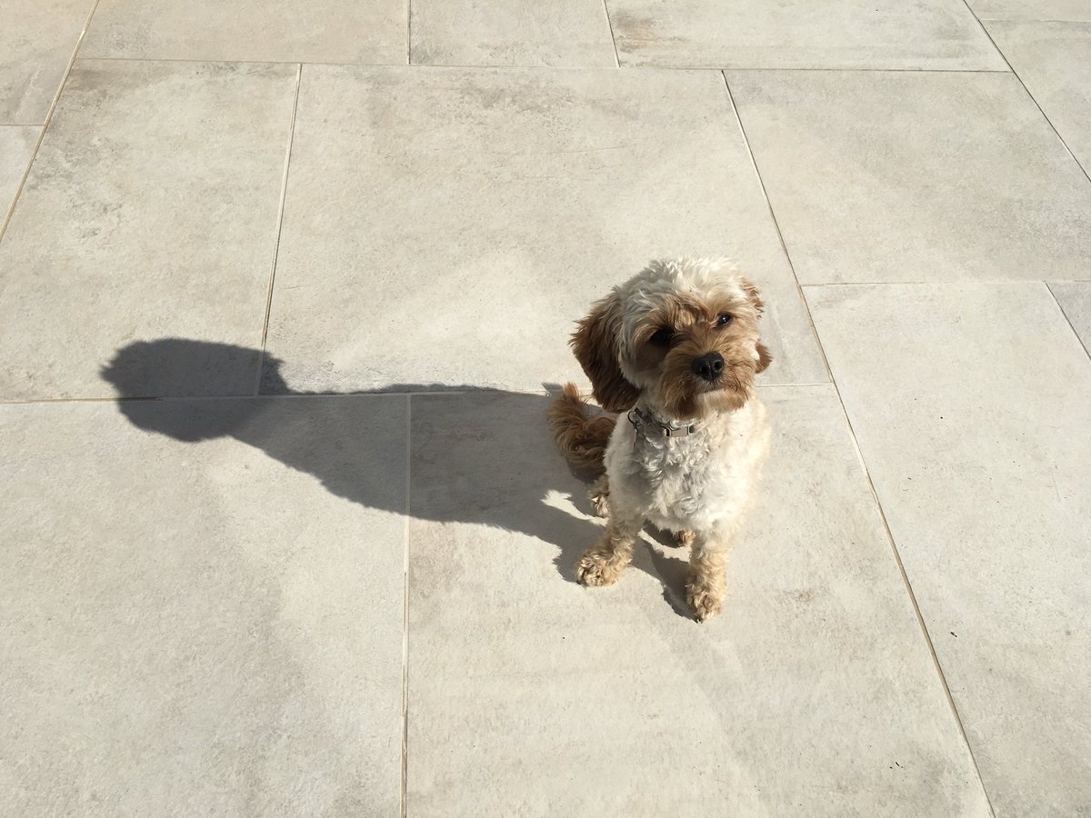 LtdAveryLand's tweet image. Our latest garden refurbishment consisting of only the highest quality @Pavestone Opus Volterra porcelain paving. #AboveAllElseQuality #PavingTheWay