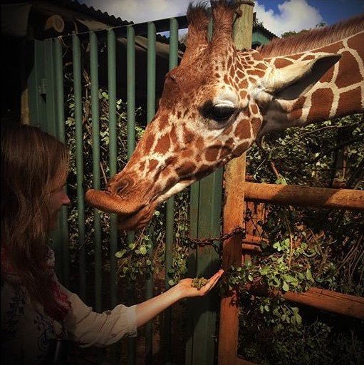 BRStanathan's tweet photo. Stana em sua viajem na Africa. 😍🐵🦁🦒🦓🐘 https://t.co/cn0qT4o8LA
