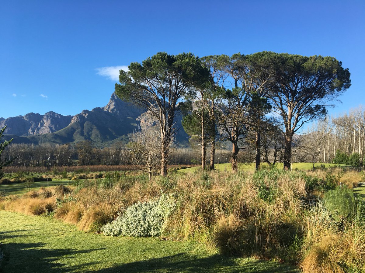 Winter perfection <a href="/Boschendal/">Boschendal</a>