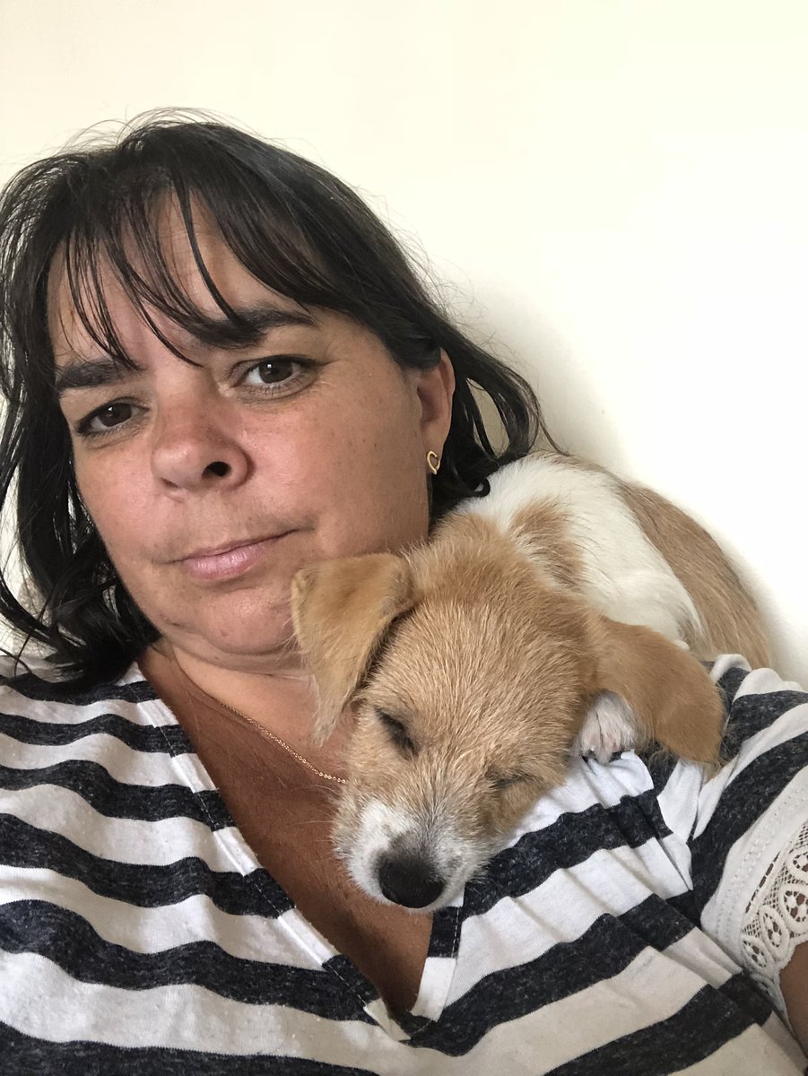 hancal01's tweet photo. When this is how your dog wants to sit #puppylove #cockerjack #11weeksold #cwtch https://t.co/FAn7hzVvt9