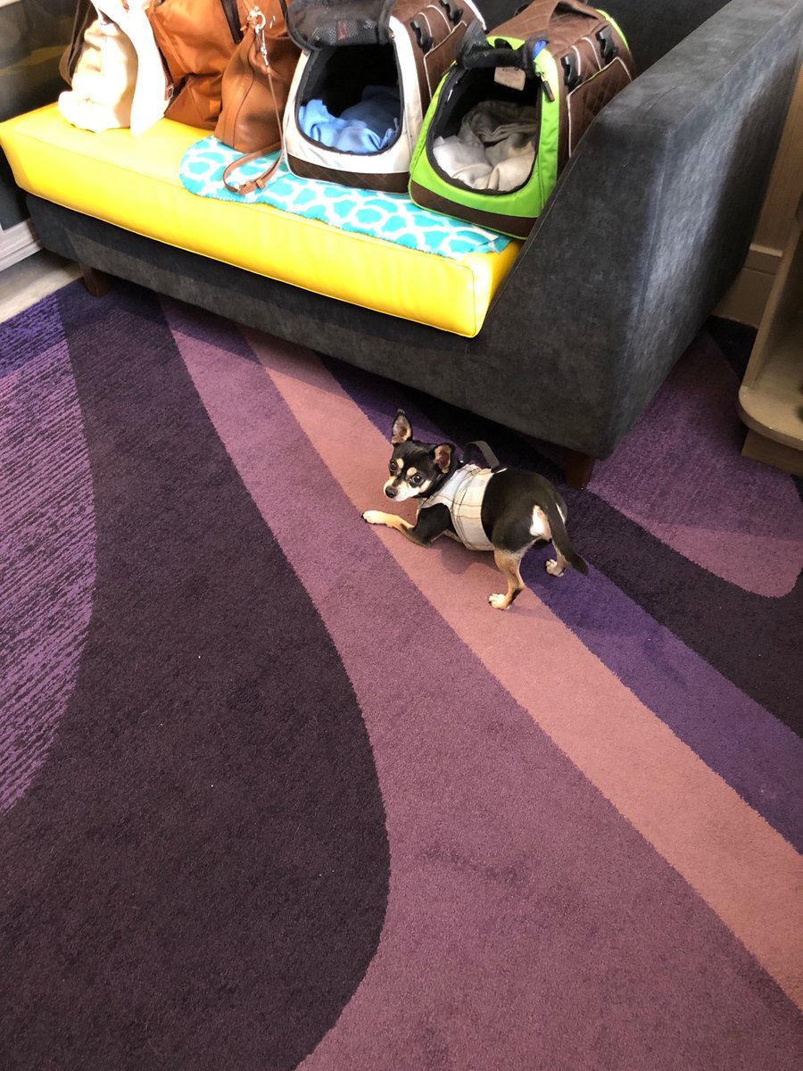 Our traveling official BRAVO yoga instructor at 3:00 am! Nothing beats the energy and vibe! ⁦<a href="/mlunaparla/">Maria</a>⁩