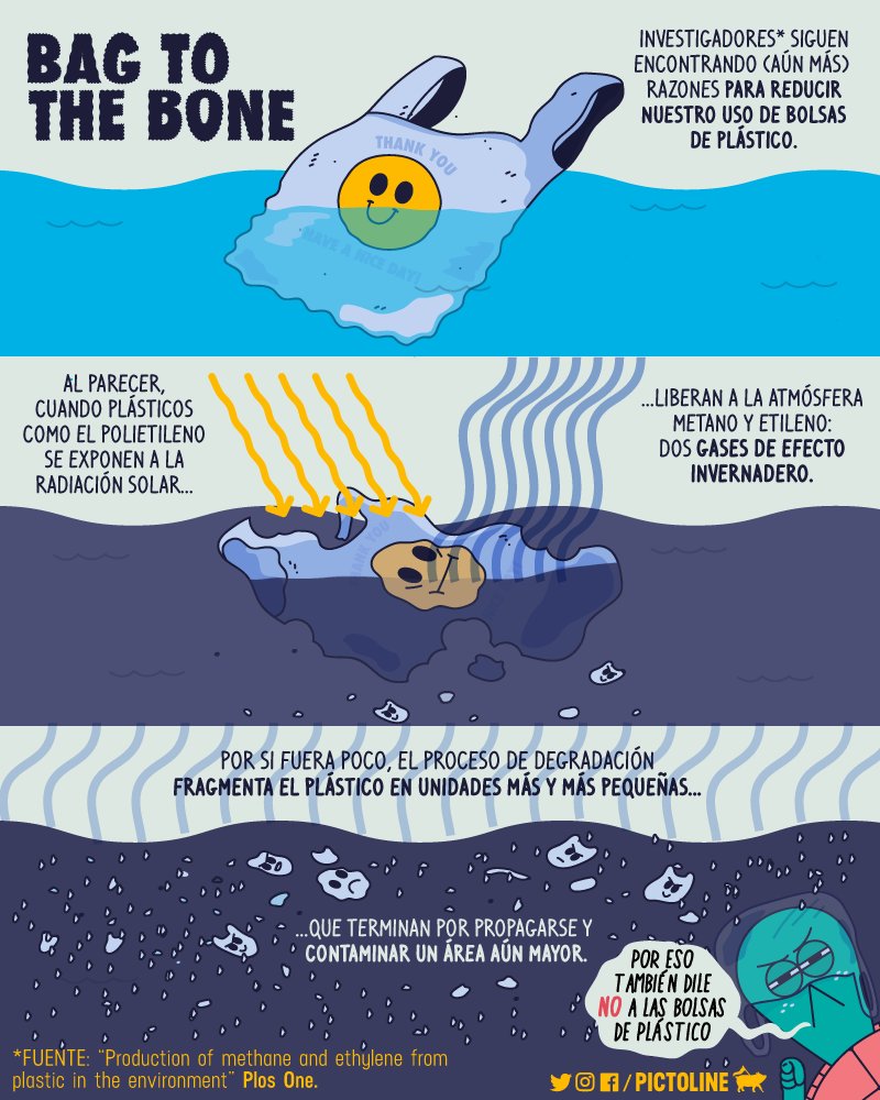 pictoline's tweet photo. Por si faltaran razones, los investigadores siguen encontrando motivos para dejar de usar bolsas de plástico 🚯 https://t.co/3czkXkdBfo