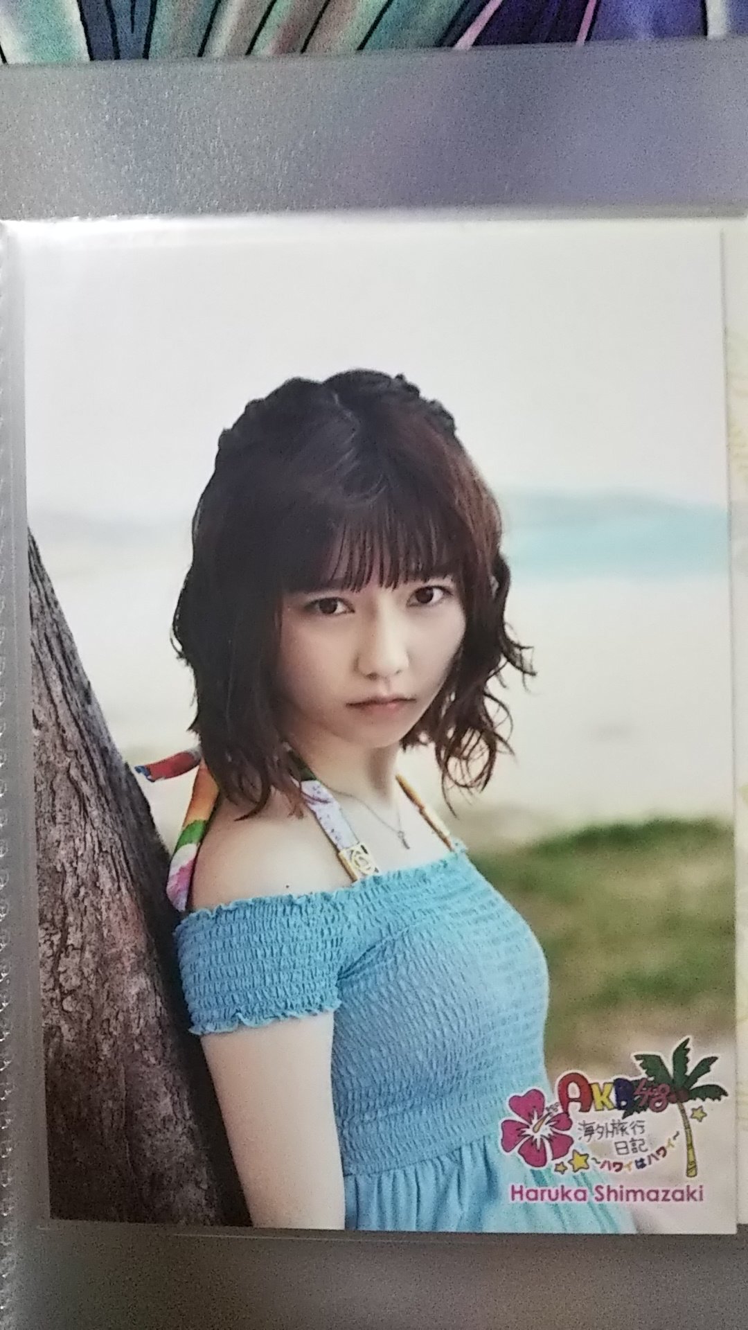 AKB48 海外旅行日記~ハワイはハワイ~ 島崎遥香 DVD 生写真(AKB48・SKE48)/アイドル/AKB48 島崎遥香/④/DVD｢AKB48