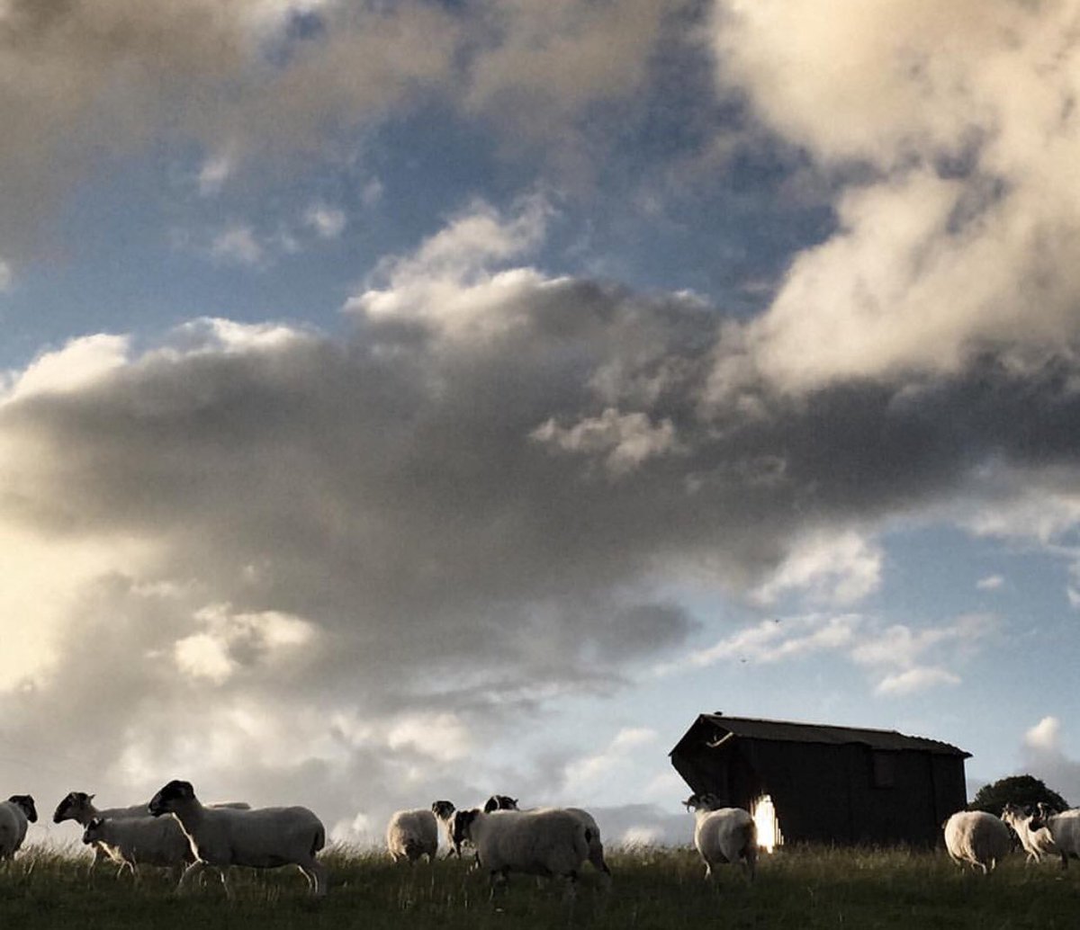 Shepherdess On Twitter A Perfect Day With My Dad Such Simple