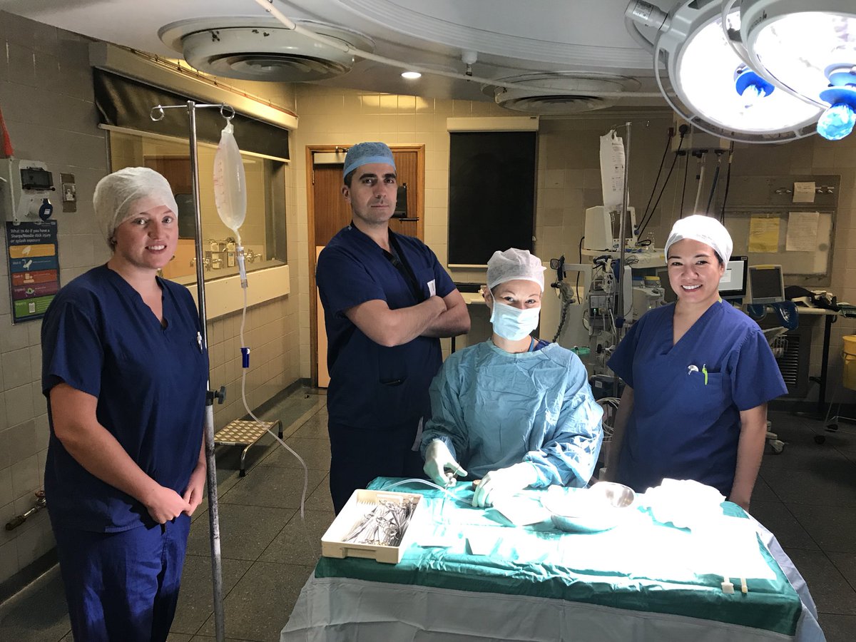 @MeetLucy_Jack @St0rid0c <a href="/GSTTnhs/">Guy's and St Thomas'</a> <a href="/kidneycareuk/">Kidney Care UK @kidneycareuk.bsky.social</a> <a href="/Kidney_Research/">Kidney Research UK</a> <a href="/NHSOrganDonor/">NHS Organ Donation💗🫀🫁</a> @AnitaHowell18 It’s all about team work - <a href="/NVallant/">Natalie Vallant</a> &amp; Rithin Punjala - Now preparing for kidney transplant number 5 in 24hours <a href="/GSTTnhs/">Guy's and St Thomas'</a> with Peter Gogalnicanu and <a href="/NikolaosKarydis/">Nikolaos Karydis</a> . Thank you to all our nurses, nephrology and anaesthetic teams as well as the donors and this families and <a href="/NHSBT/">NHS Blood+Transplant</a>