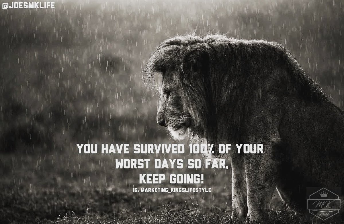 JoesMKLife's tweet photo. #lion #strength #hustle #motivation #dontquit #produce #businessquote #jetsetfly #power #prgression #keepgoing #onlinebusiness #digitalmarketing #atmbiz #creation #determination #startnow #livelife #freedom #provethemwrong #entrepreneur #nevergiveup #inspire https://t.co/yOnKgvyCfI