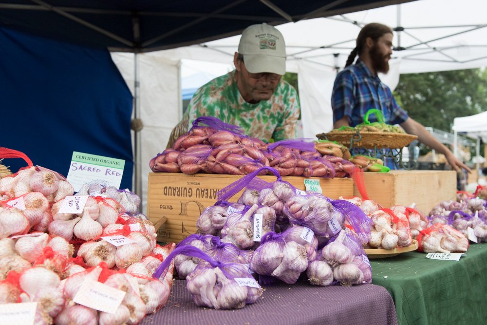 cjimagesnw's tweet photo. North Plains held their annual Elephant Garlic Festival with a parade on Saturday morning followed by lots of food and drinks and vendor booths to visit.
Slideshow link: https://t.co/WkjTKqJtCy
@HillsboroTrib @FGNewsTimes #NorthPlains #FunStinks https://t.co/pvz2Ol4mi0