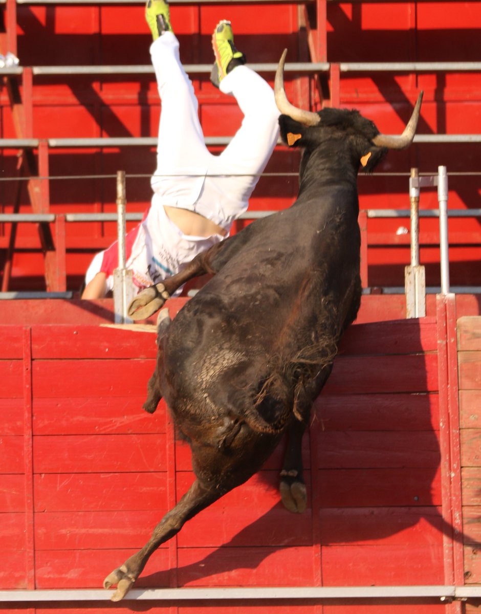 toropasion's tweet photo. Roberto Constanza y David Morella vencen en Funes en la #LigaToropasión de anillas celebrada hace unos minutos. 
📸 Adam Sagardoy https://t.co/VgKj5yozzN