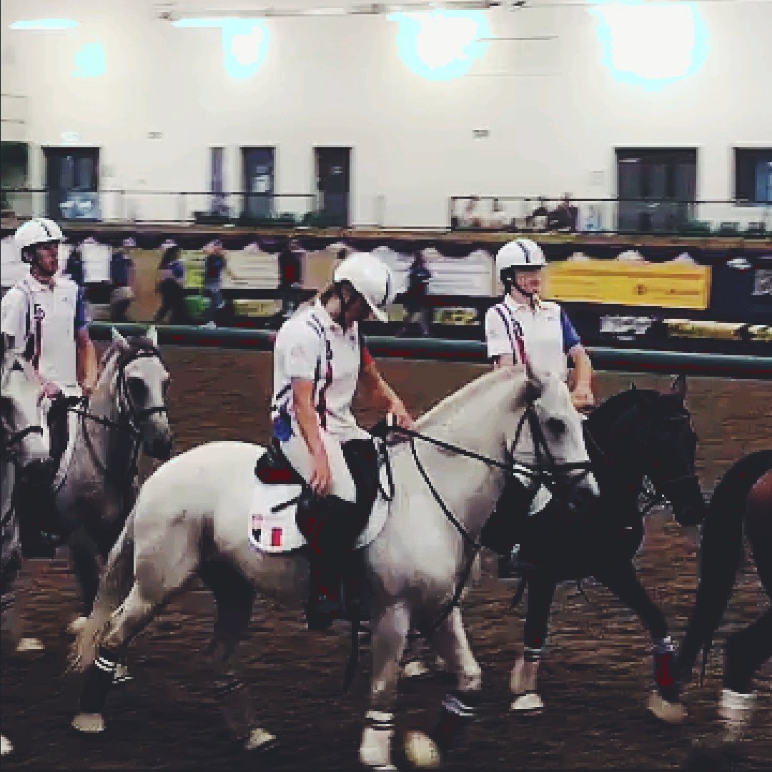 lecoinduhb's tweet photo. L'équipe de France U16 est championne d'Europe !! 🇫🇷🇪🇺🏆

#HorseBall https://t.co/ap6Wxkbzqs