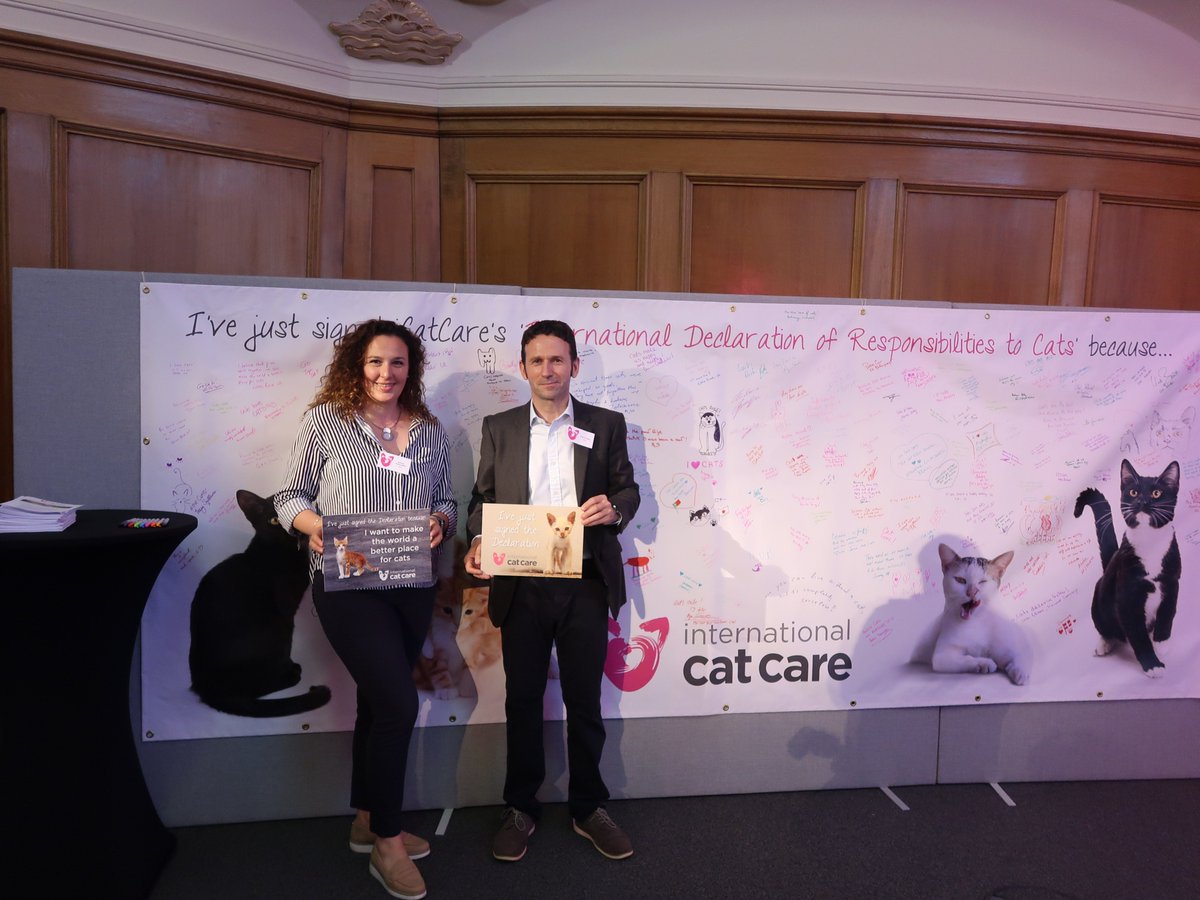 pebzz's tweet photo. Have you signed the 'International Declaration of Responsibilities to Cats'? @iCatCare tell you what you need to do and why #cat #kitten #catcare #catdeclaration @PetGazette @KatzenworldBlog @PetsatHome @PetShopBowl @PetPlanetcouk https://t.co/U5W27xbP7Y