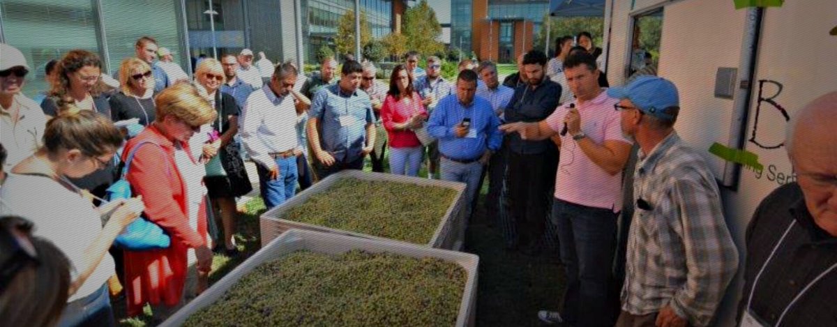 AOOPA_'s tweet photo. University of California, Davis Master Miller Certificate Course returns to the Robert Mondavi Institute in Sept. "The course is a huge first step in demystifying the milling process so we can innovate and produce better oils,” said David Garci-Aguirre. https://t.co/OVrgUd40rt https://t.co/iWFSDyx7fe