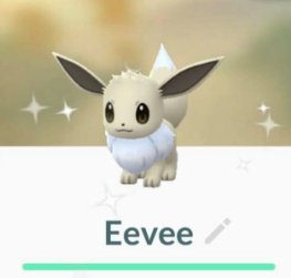 BattleCalculatr's tweet photo. Pokemon Go August Community Day - https://t.co/tzrKiyav5C https://t.co/nkTWqSbcBX