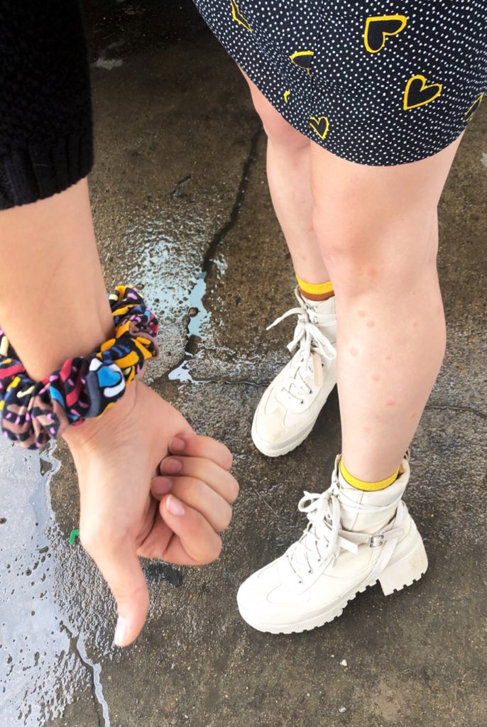 Si vous reliez les points entre eux vous pourrez lire: BÂTARDS DE MOUSTIQUES.