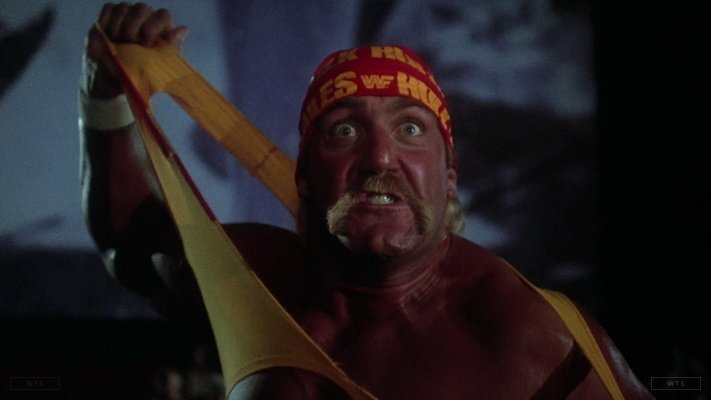 Hulk Hogan is now 65 years old, happy birthday! Do you know this movie? 5 min to answer! 