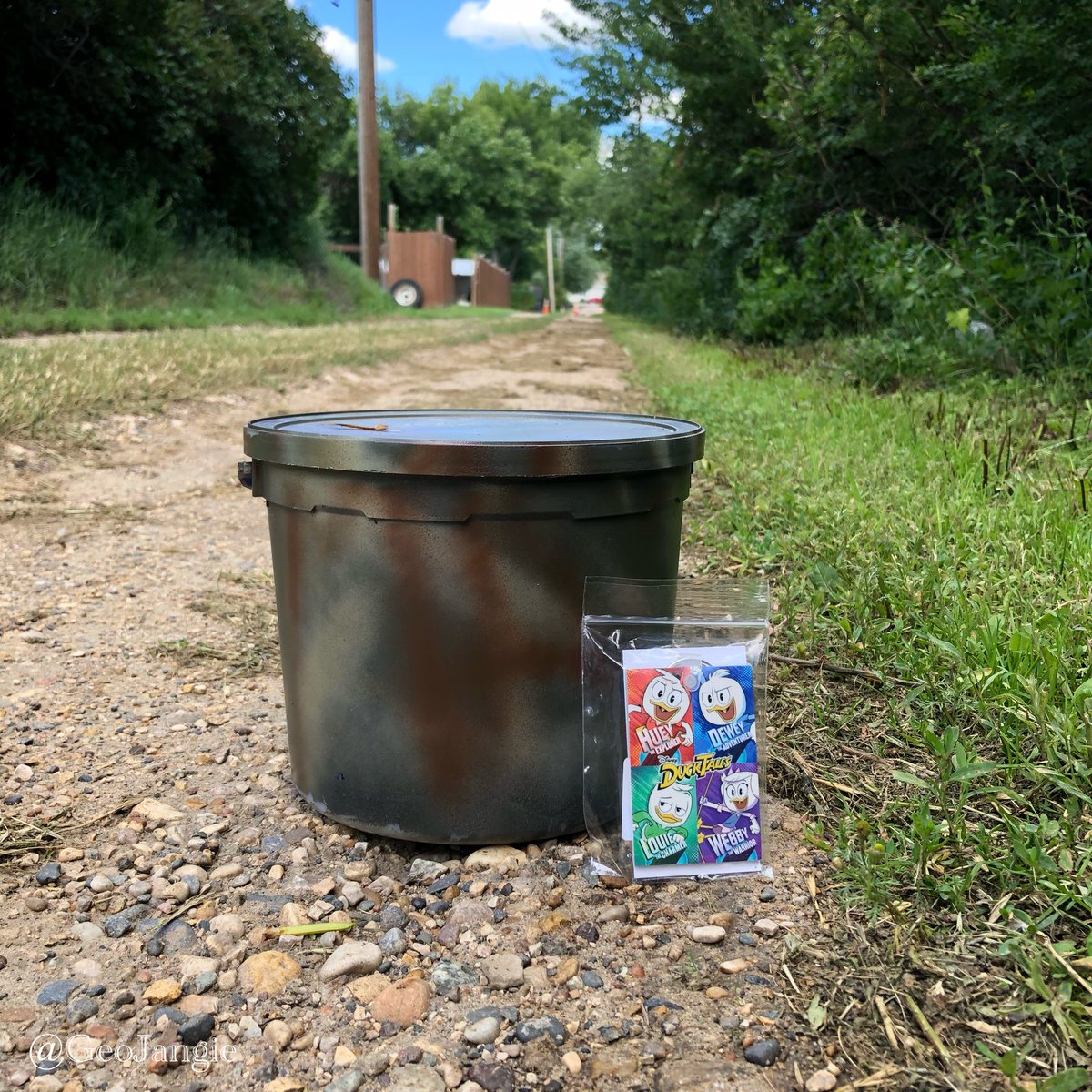 GeoJangie's tweet photo. As a prize to the STF, I dropped this #DuckTalesCache TB in this nice large container in Stanley, ND that scored me a FTF. I only have a couple of these TBs left to scatter around the state! Which ND town should I try to drop one? Have you found one in the wild yet? https://t.co/f3eoMePy4N