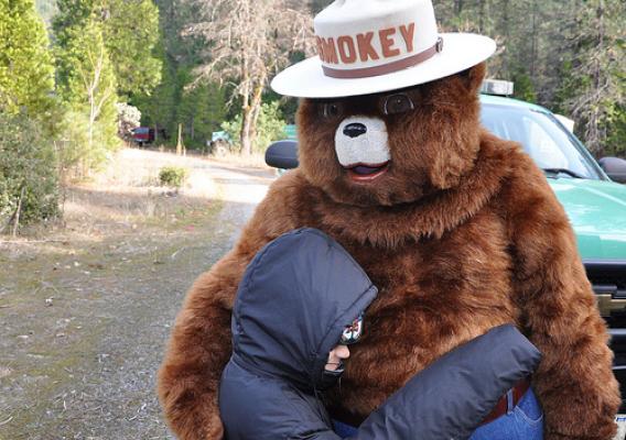 JJoaquinAniceto's tweet photo. Mientras en EEUU 🇺🇸 se mantiene y respeta la figura de Smokey Bear, el Guardabosques o Park Ranger, aquí en España 🇪🇸 ni sabemos quién era Fidel, el conejo Agente Forestal, que hacía campaña de concienciación social contra los incendios forestales 🔥 https://t.co/CqilHo8lGu