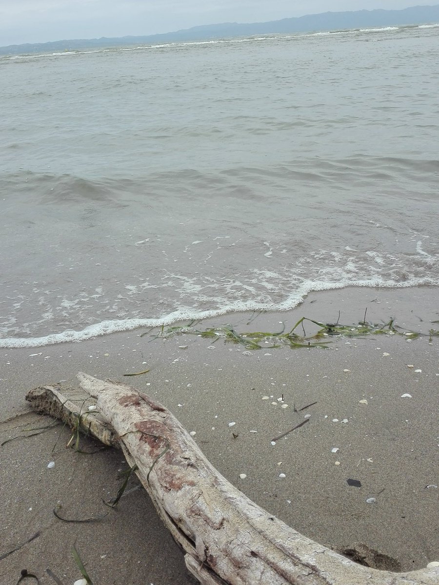 Roger_Valldeneu's tweet photo. Aquestes vacances baixa a lo delta... 

https://t.co/e5uksVXa1k https://t.co/WpPjRaPNv3