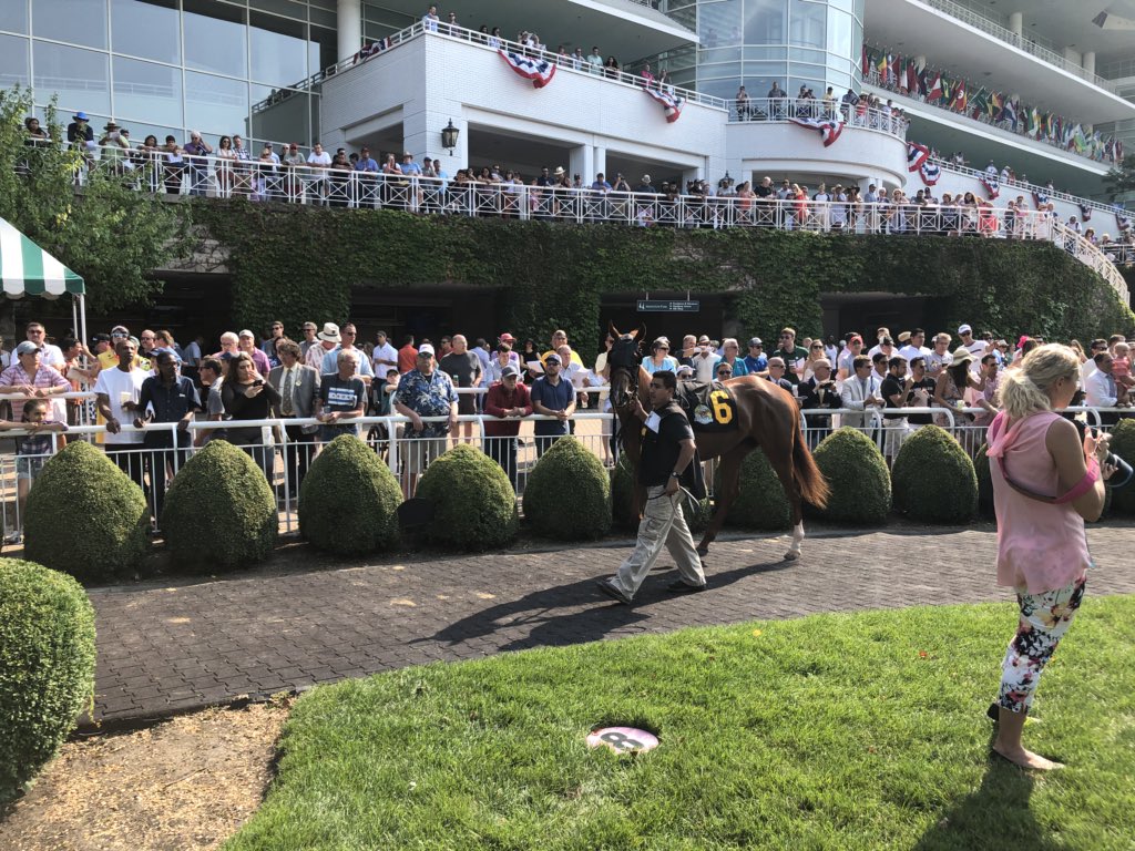 gofilly's tweet image. 2/2 missed the #9 🤷🏻‍♀️🤷🏻‍♀️ #notprofessional lol