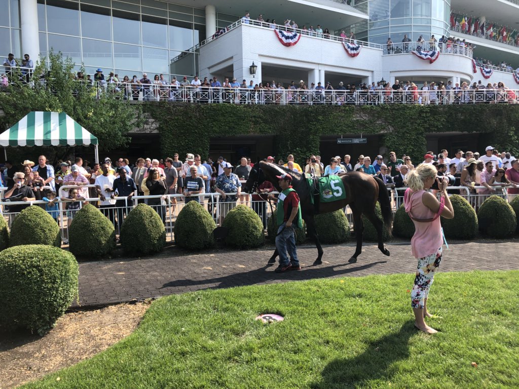 gofilly's tweet image. 2/2 missed the #9 🤷🏻‍♀️🤷🏻‍♀️ #notprofessional lol