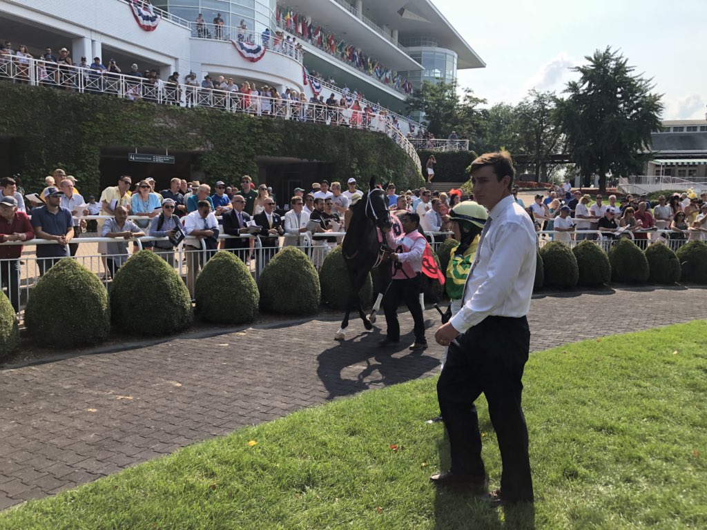 gofilly's tweet image. 2/2 missed the #9 🤷🏻‍♀️🤷🏻‍♀️ #notprofessional lol