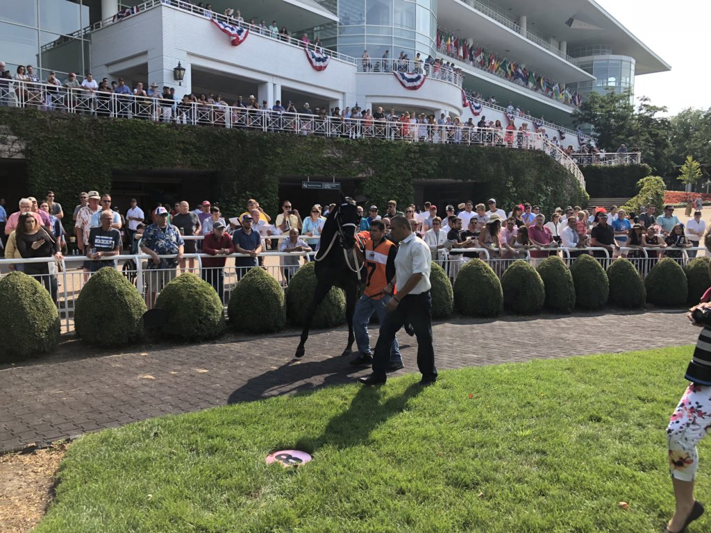 gofilly's tweet image. 2/2 missed the #9 🤷🏻‍♀️🤷🏻‍♀️ #notprofessional lol