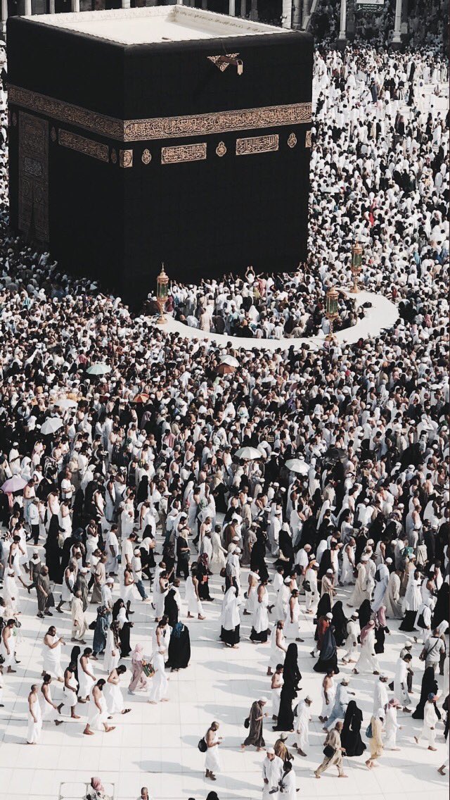 #احياء_العشر_بذكر_الله

”لبيك ربي شوقًا وابتهالًا ، لبيك والفؤاد توسلًا ، لبيك خشيةً وتضرُعًا ، لبيك وإن لم اكن بين حجاجك مستغفِرًا ومُكبرًا❤️”.