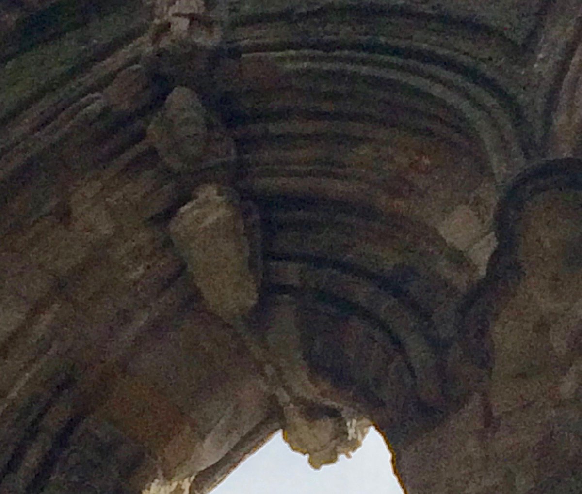 NiddArtTrail's tweet photo. At Fountains Abbey but rarely seen. Don't miss anything in #niddarttrail https://t.co/XCELfjapQJ