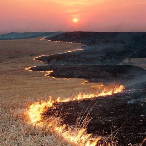 gabusant's tweet image. the emotion inside of me is burning me