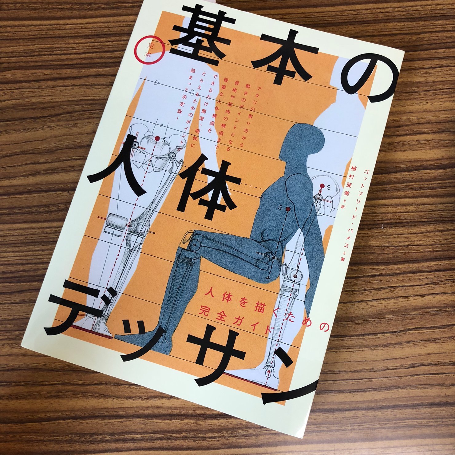 伊豆の美術解剖学者 on X: