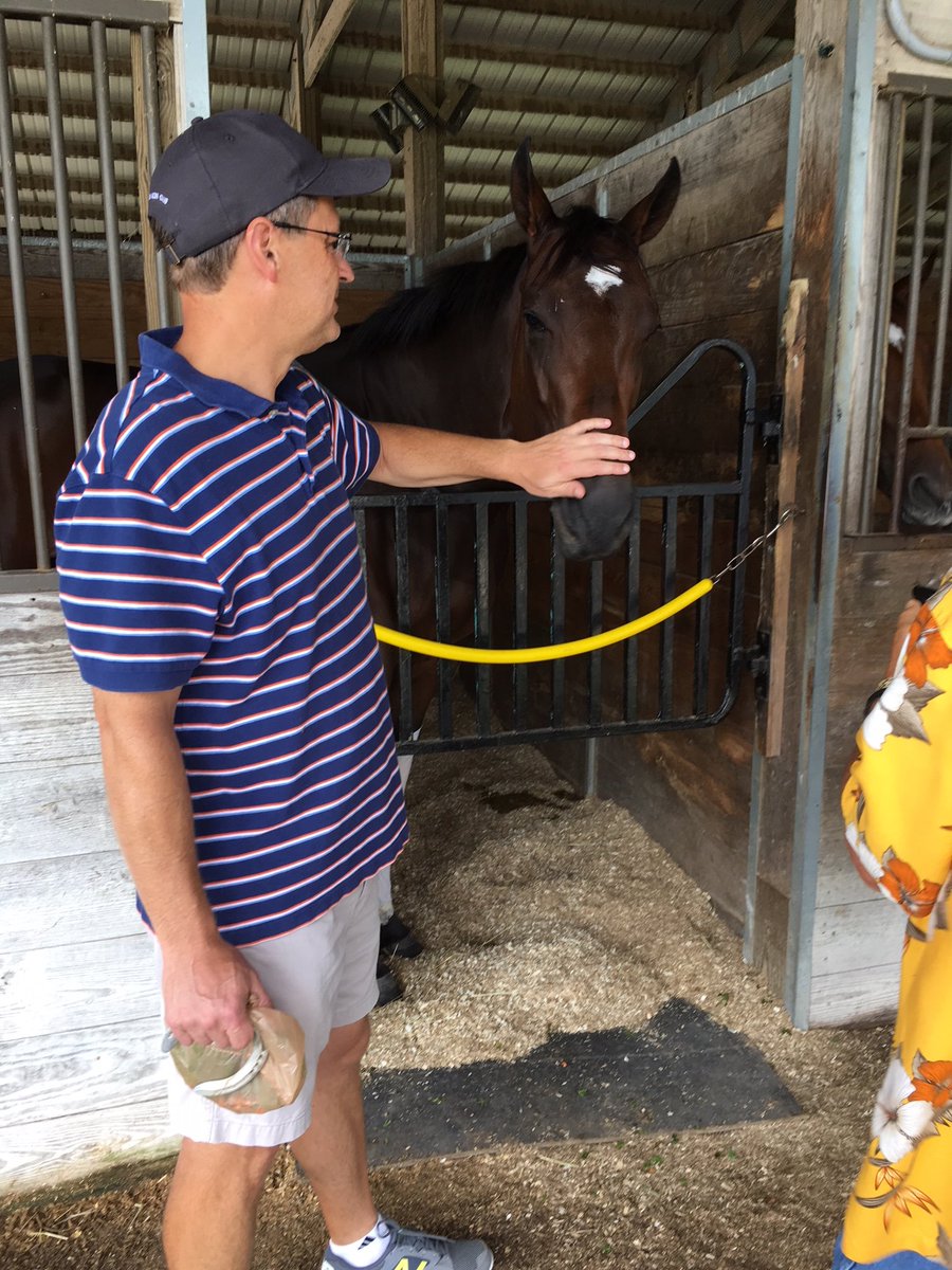 GrandGestureStb's tweet photo. Nice barn visit to see Bold Concept for @GrandGestureStb owners Sat. Aug. 11 @IGRaceCourse @IGTammy @NancyUryHolthus @RacingRachelM @billdownes1 https://t.co/ui92SNYQxb