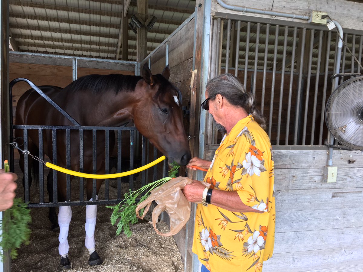 GrandGestureStb's tweet photo. Nice barn visit to see Bold Concept for @GrandGestureStb owners Sat. Aug. 11 @IGRaceCourse @IGTammy @NancyUryHolthus @RacingRachelM @billdownes1 https://t.co/ui92SNYQxb
