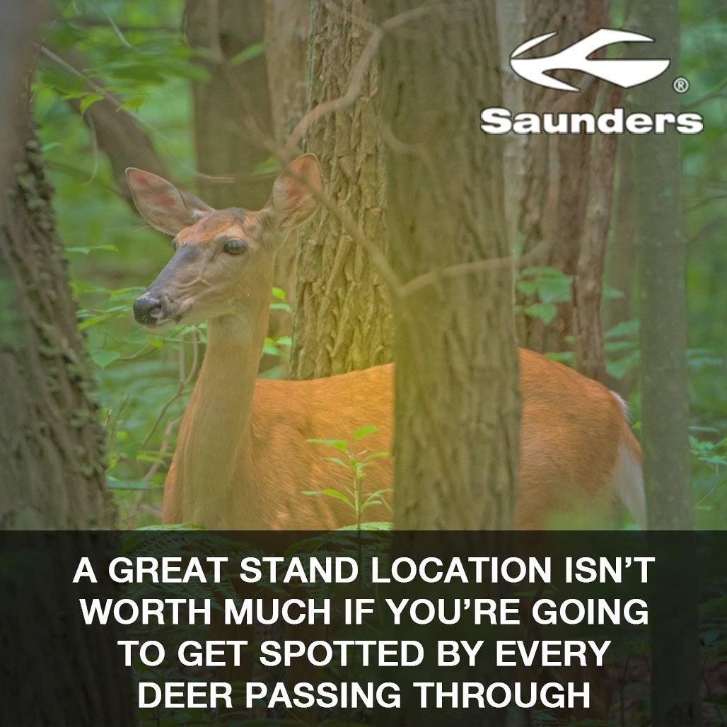 SaundersArchery's tweet image. Prioritize cover. #deerhunting #bowhunting #deerhuntingtips #archery