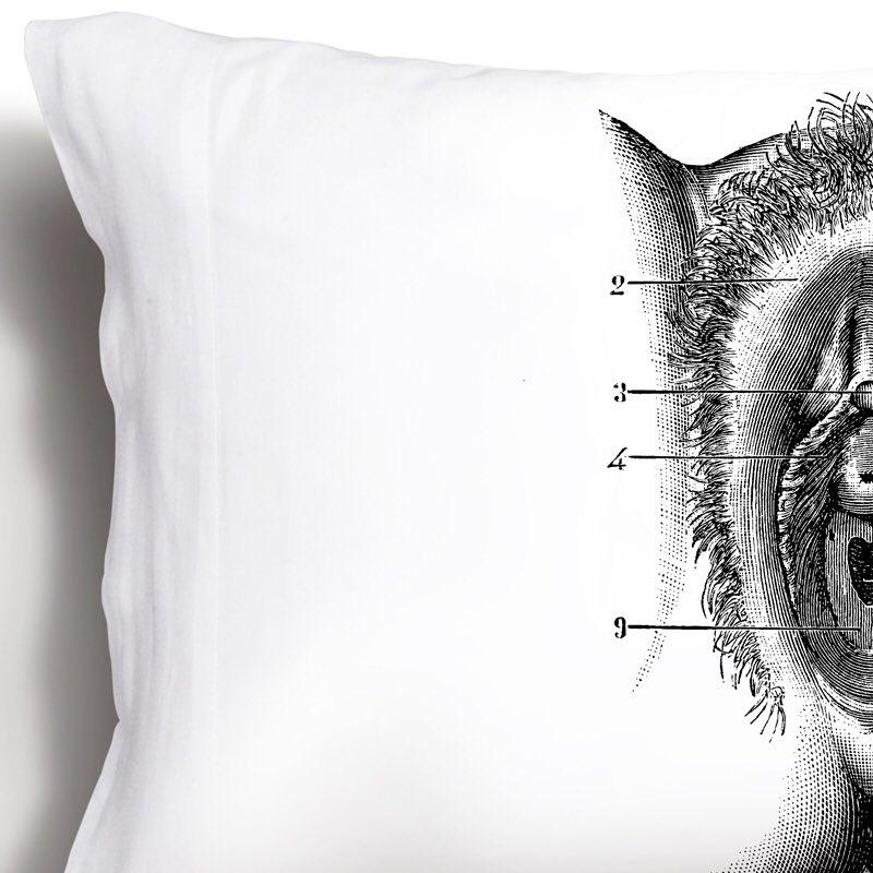 The pussy pillow to beat all pillows. 