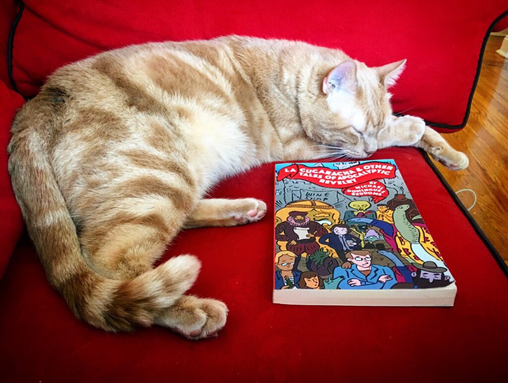 realcucaracha's tweet photo. #Caturday vibes

https://t.co/KSJcwQLwJE https://t.co/makmUsIdGL