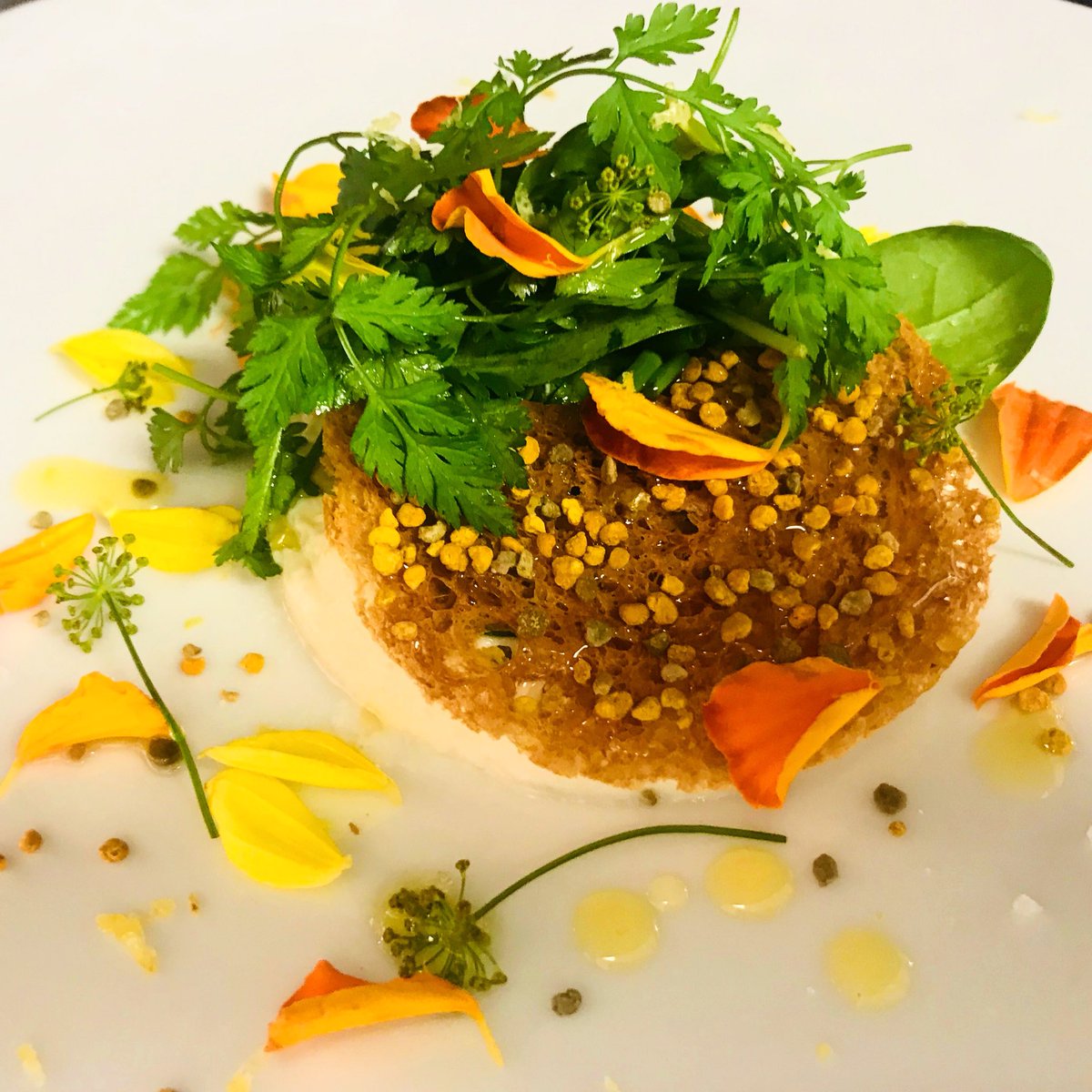 jeromeroy77's tweet photo. Travail autour du miel, du pollen et de la propolis...
#hotelcouventdesminimes #lecloitre #jeromeroy #guidemichelin #gaultmillau https://t.co/DE4h7PBcJz