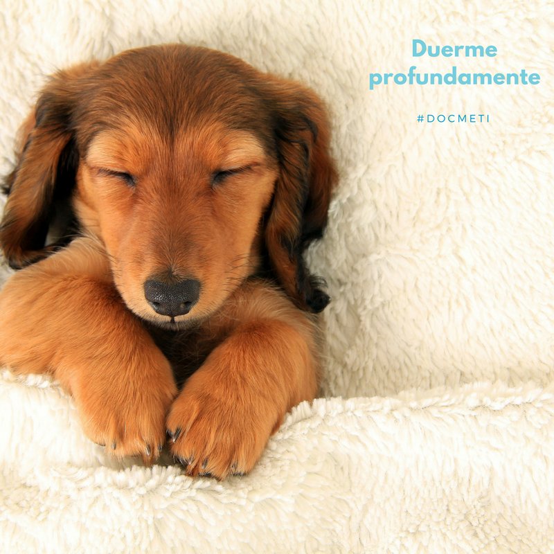 docmeti's tweet photo. Descansar😌 y dormir😴 bien es necesario para comenzar cada día con toda la energía😎. Además, un rostro cansado no te hará lucir radiante😨. 
-
 Y recuerda que los productos que recomienda Docmeti no son testeados en animales😻. #FelizSábado #ConstruyendoPaís #AntioquiaEnElAlma https://t.co/VE0a0A8IsI