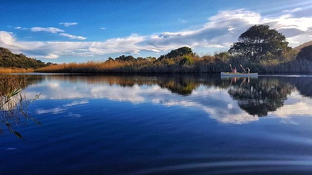 gotravelbug's tweet photo. A beautiful blue sky reflects in the Touw River on a lazy afternoon in the Wilderness
#river #reflection #canoe #cloudious #skypainters #Skyexing #wildernessza #gardenroute #meetsouthafrica #moments #lovewherewelive #howzitsouthafrica #wanderlust #insta… https://t.co/xfeqrPEP4q https://t.co/uiiy4wXtQ5